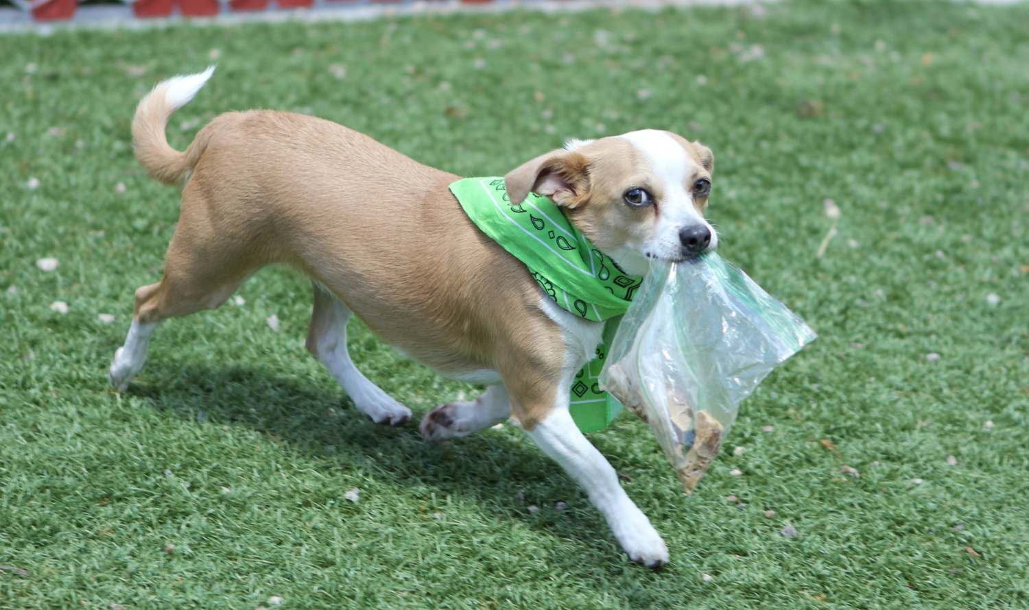 Cultural Blindness, Thief Culture & Integral Type Photo by Judy Beth Morris